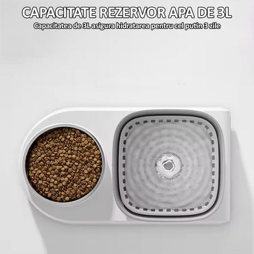 Dispenser automat de apa tip fantana pentru caini si pisici cu bol din inox pentru hrana 2 in 1, NEXTLY, capacitate rezervor apa 3L, filtrare prin carbune activ, silentios, alimentare USB, alb
