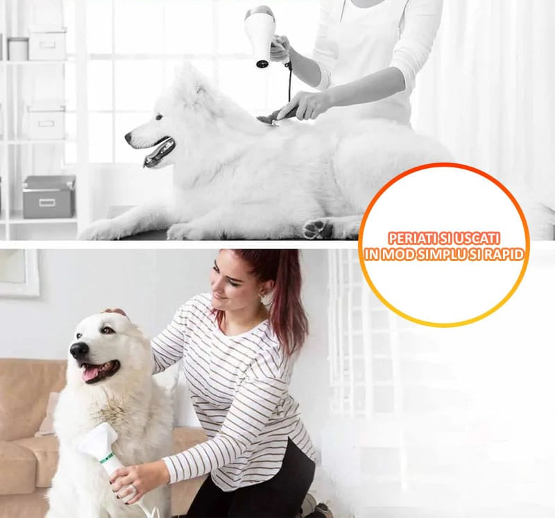 Perie cu uscator pentru caini/pisici 2 in 1 NEXTLY, 3 moduri de uscare, zgomot redus, 300W, cablu 1.5m, alb-verde