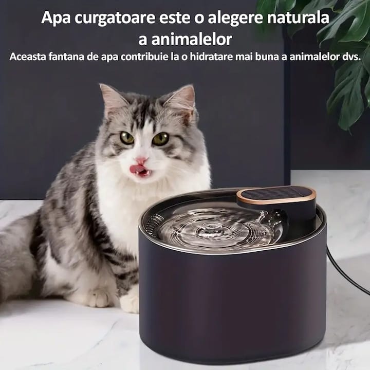 Set dispenser automat de apa tip fantana pentru pisici si caini + 10 filtre NEXTLY, capacitate 3L, fitru de carbune activ si bumbac cu nano-bule, ultra-silentios, lumina led, alimentare USB, Alb